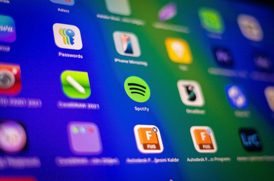 Spotify Playlist vs. Professional DJ: The Wedding Mistake You Don’t Want to Make